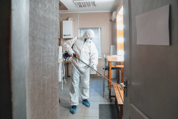 Best Environmental Consulting for Mold Prevention  in White Hall, IL